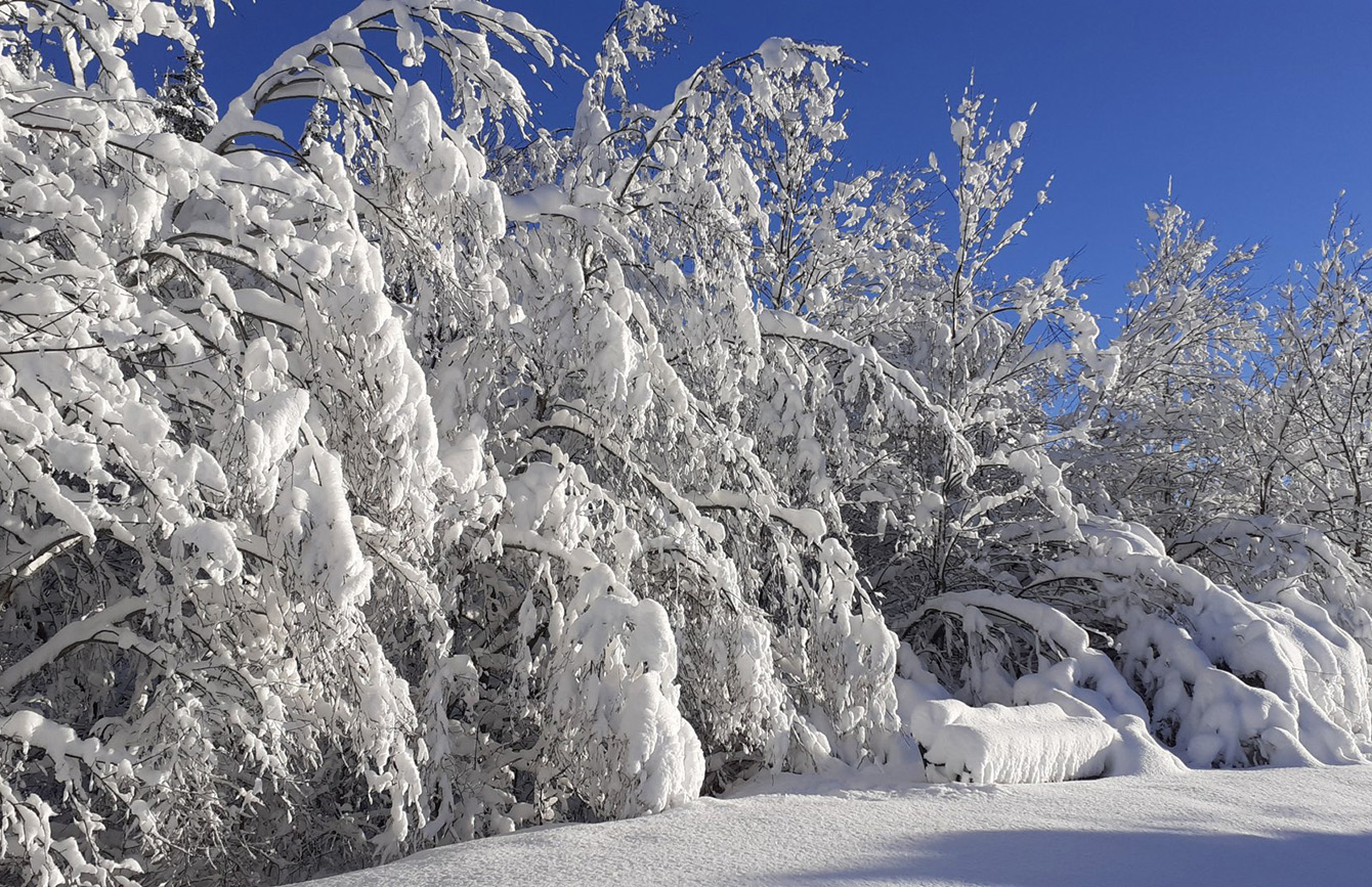 Roadtrips durch das winterliche Baden-Württemberg: Ein Abenteuer auf verschneiten Straßen um Schwäbisch Gmünd